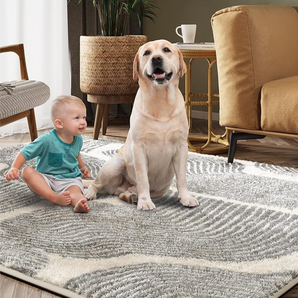 modern soft area rug for stylish home decor
