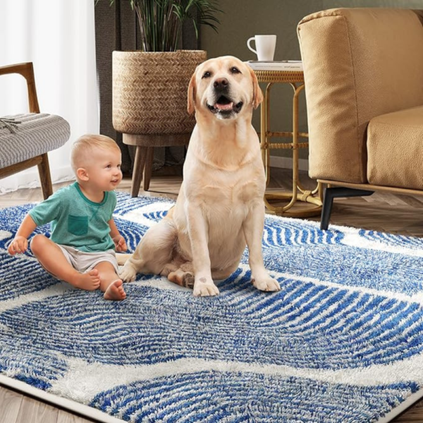 plush soft area rug for bedroom comfort